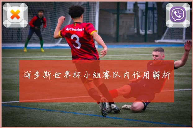 海多斯世界杯小组赛队内作用解析